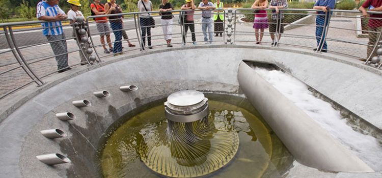 Case Study: 4Culture Public Art’s Brightwater Project Case Study: 4Culture Public Art’s Brightwater Project